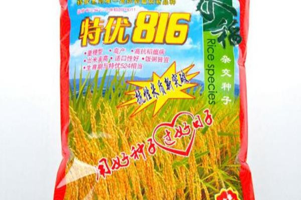 杂交水稻种子价格-