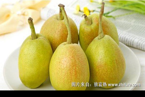 香梨价格多少钱一斤