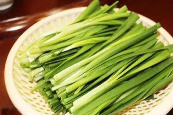 韭菜价格多少钱一斤