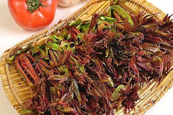 香椿种植经济效益分析