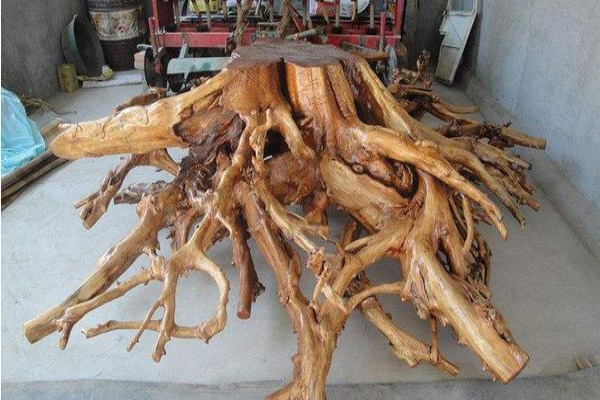 香椿木价格多少钱一吨