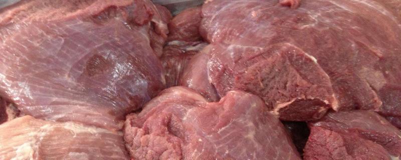 母猪肉能吃吗