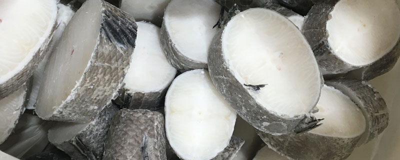 银鳕鱼的哪一段最好