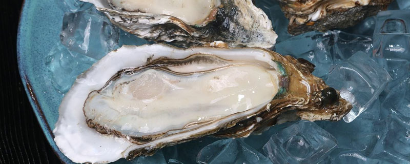 牡蛎和生蚝区别