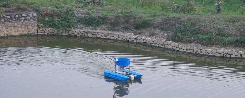 河虾养殖水位多少合适