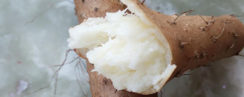 山药种植技术与栽培管理