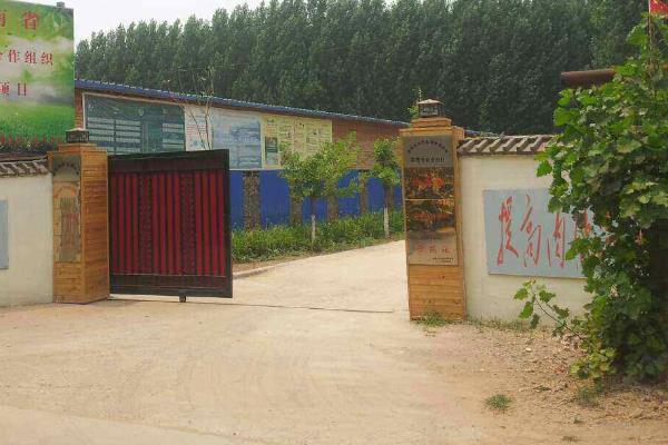 农业合作社响亮的名字，大气的农村合作社名字