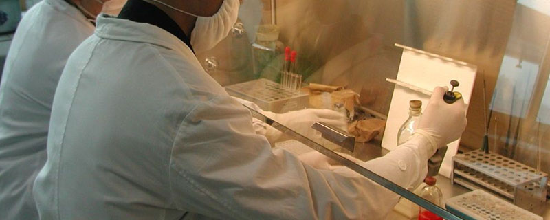 微生物的营养类型有哪些