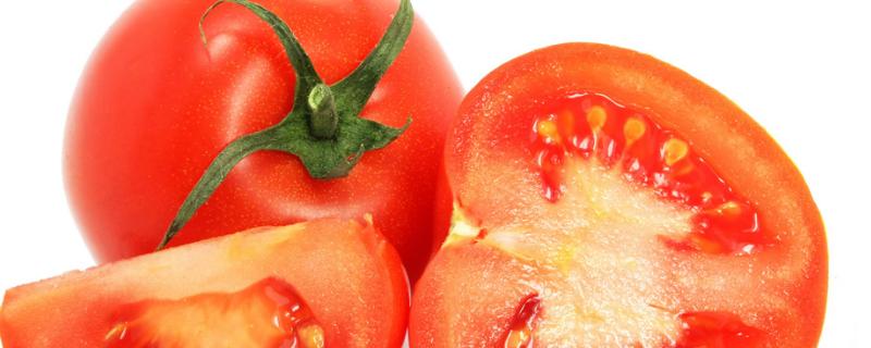 西红柿未成熟就腐烂是啥原因