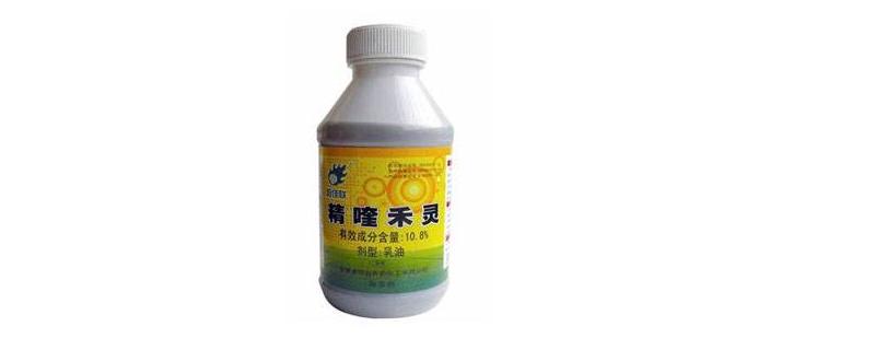精喹禾灵喷后多久才见效
