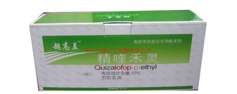 精喹禾灵能除什么草