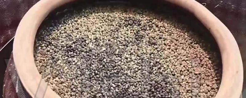 黄豆发酵后是磷钾肥吗
