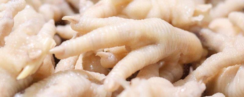 鸡爪上的黑斑是病鸡吗