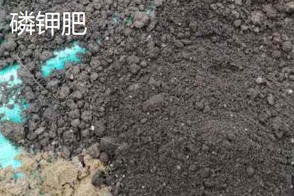 磷钾肥是磷酸二氢钾吗，它们有区别吗