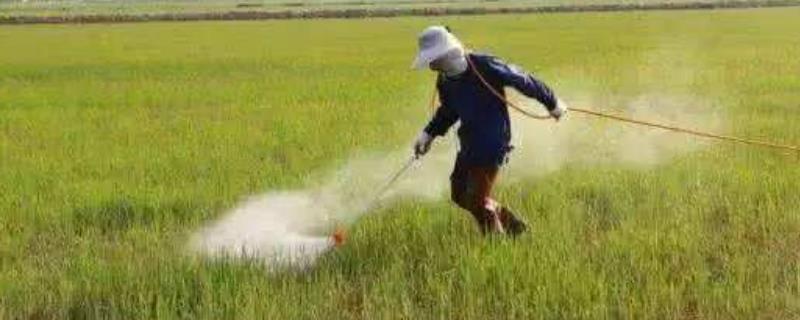 波尔多液灌根的好处