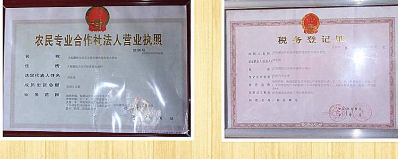 注册农村养殖合作社需要什么条件