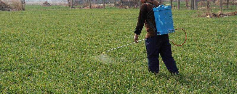 马拉硫磷农药杀什么虫