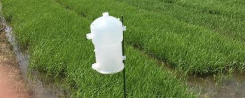 昆虫信息素为什么是生物防治