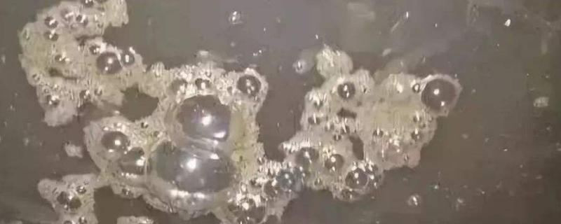 水产养殖氨氮标准多少正常