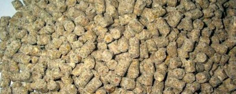 丁酸钠在饲料中的添加量是多少