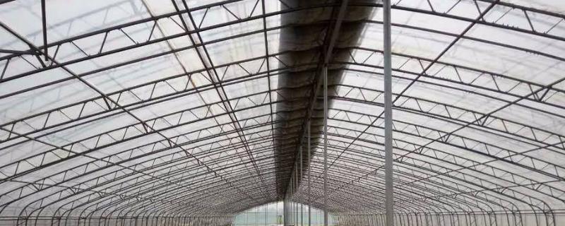 基本农田可以建大棚吗