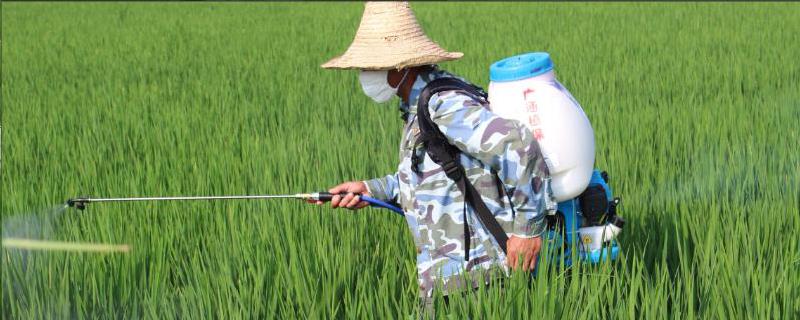 宁南霉素可和哪些农药混用