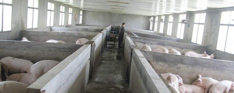 养猪要办理什么证件