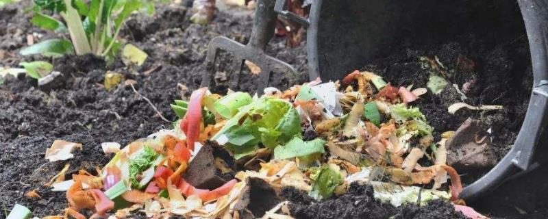 烂菜叶子可以做肥料吗