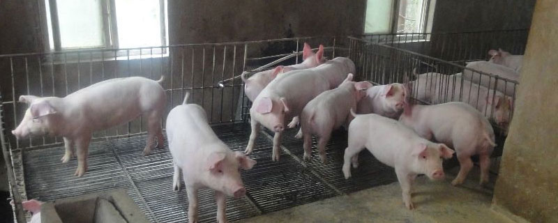 什么土地可以建养殖场
