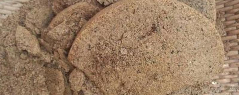 菜籽饼不发酵拌土直接做基肥可以吗
