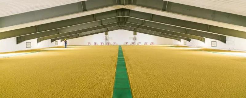 粮仓怎么防虫防潮湿