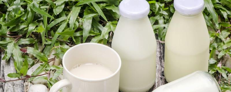鲜牛奶为什么变成豆花状