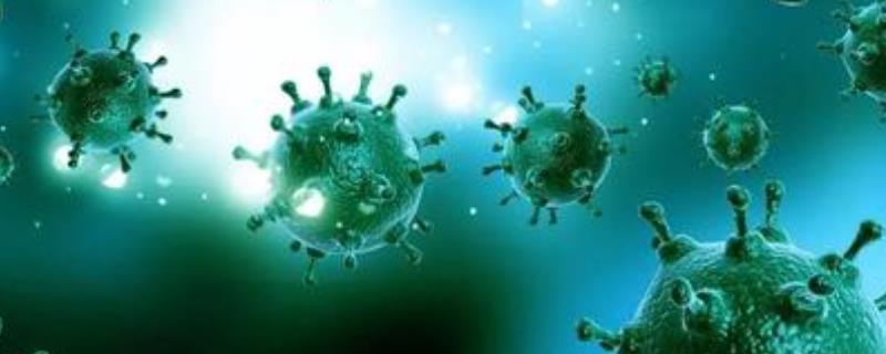 动物病原体微生物哪一类危害最高