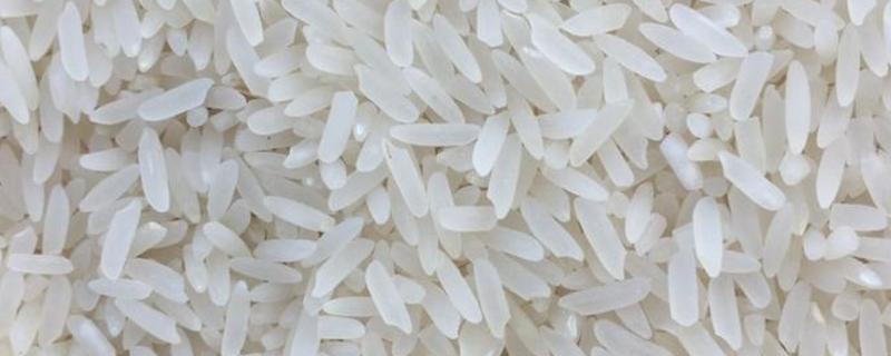 野香优莉丝大米的特点