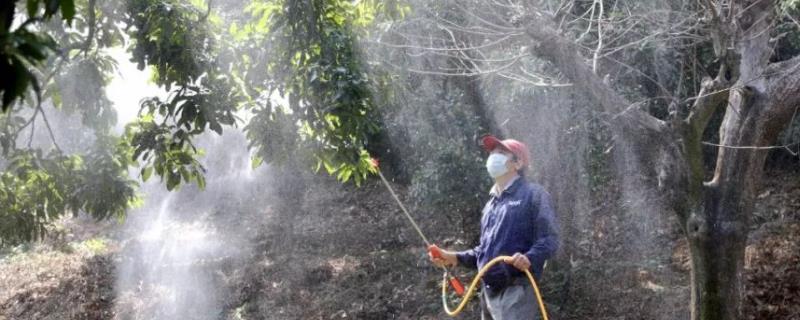 除虫脲主要打什么虫