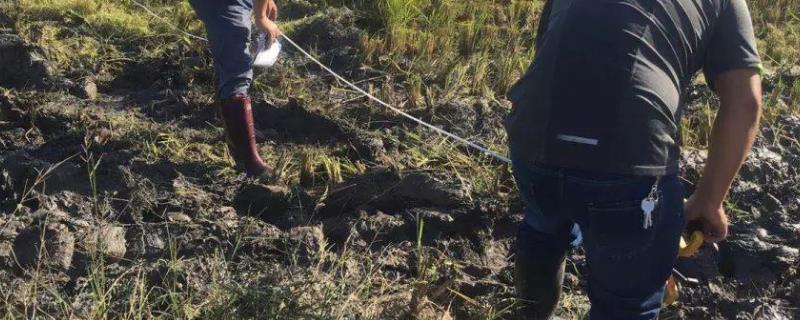 一亩地怎么算出来长宽