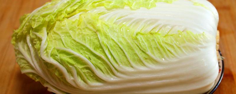 白菜出苗后怎样治虫子