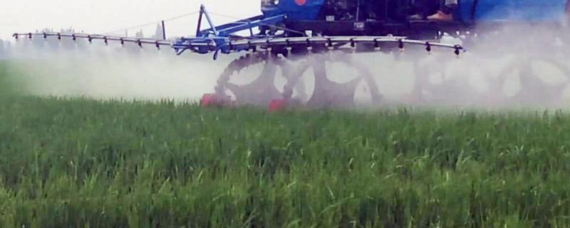 溴氰虫酰胺可治哪些虫