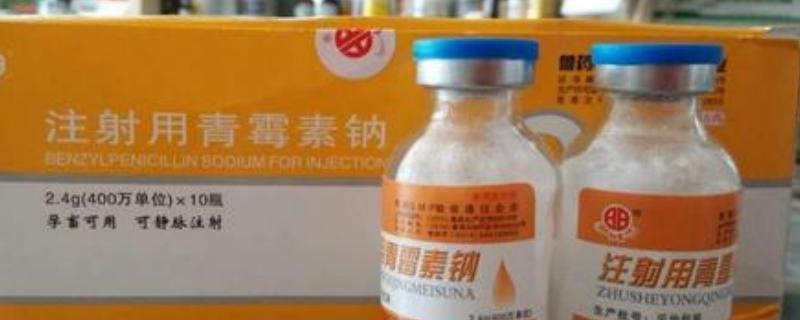兽药青霉素与什么配伍最佳