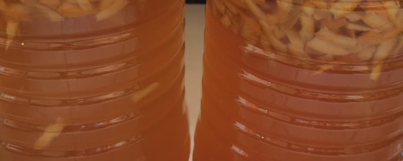 农业酵素菌肥制作方法