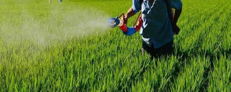 氟啶脲防治对象
