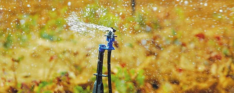 节水灌溉技术主要包括