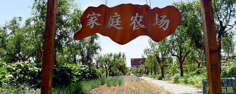 什么是家庭农场它有什么基本特征