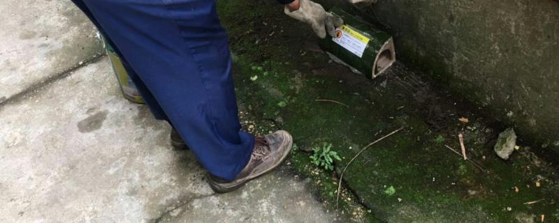放置毒鼠盒灭鼠是因为什么