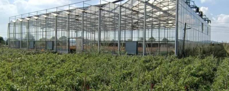 种养结合循环农业新模式