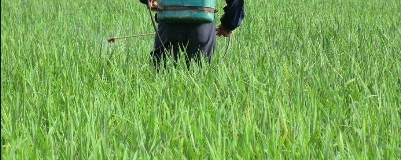 水乳剂和乳油的区别