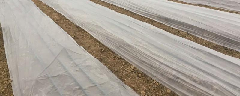农用薄膜管理办法