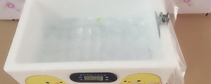 水床孵化失败原因