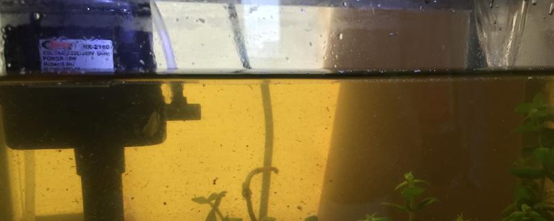 气泵打氧多久能除氯
