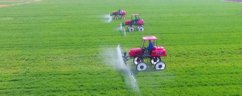 甲基异柳磷防治什么虫